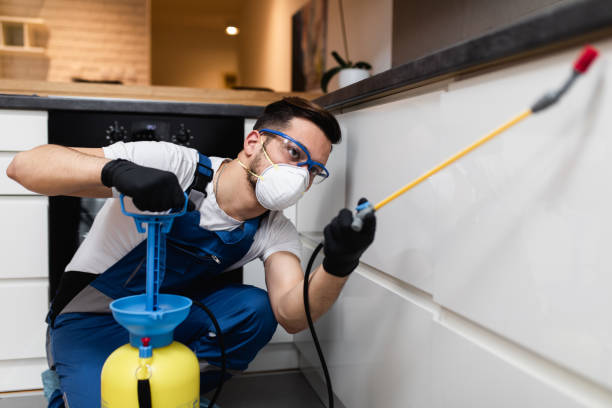 Best Mosquito Control Services  in Conway Springs, KS