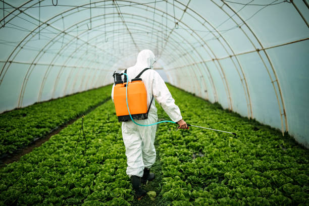 Best Pest Removal Services  in Conway Springs, KS