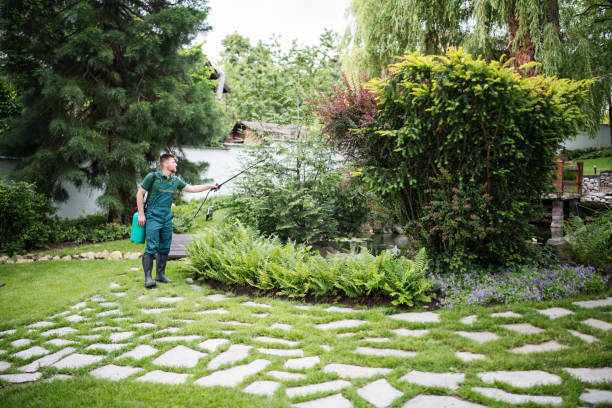 Best Affordable Pest Control Services  in Conway Springs, KS
