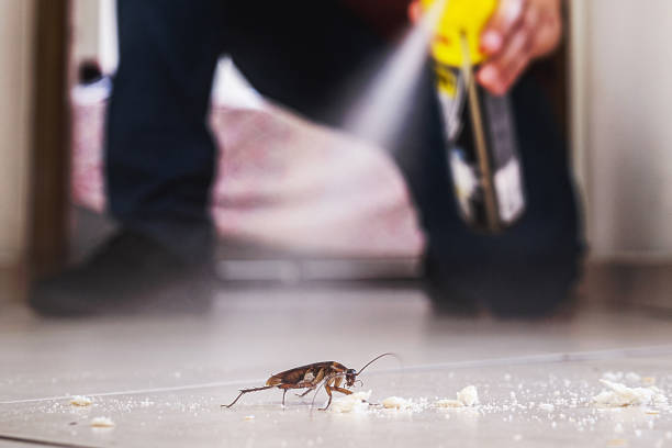 Pest Control for Restaurants in Conway Springs, KS