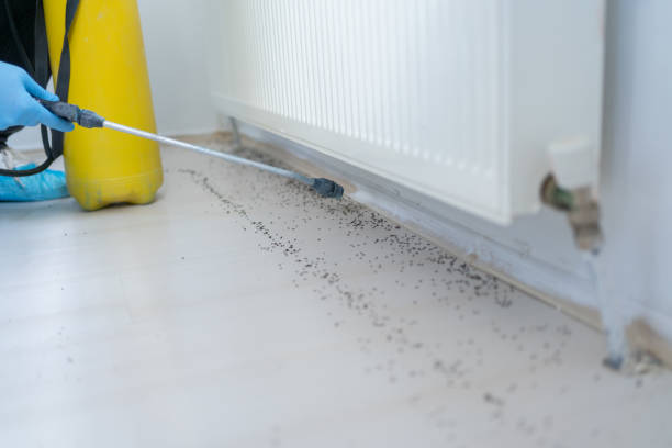 Best Best Pest Control Companies  in Conway Springs, KS