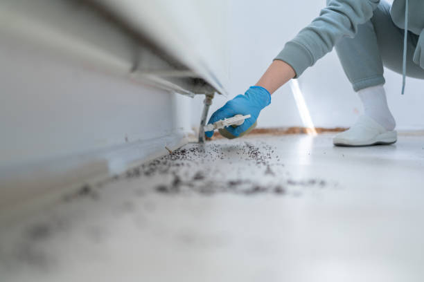 Best Exterminator Services  in Conway Springs, KS